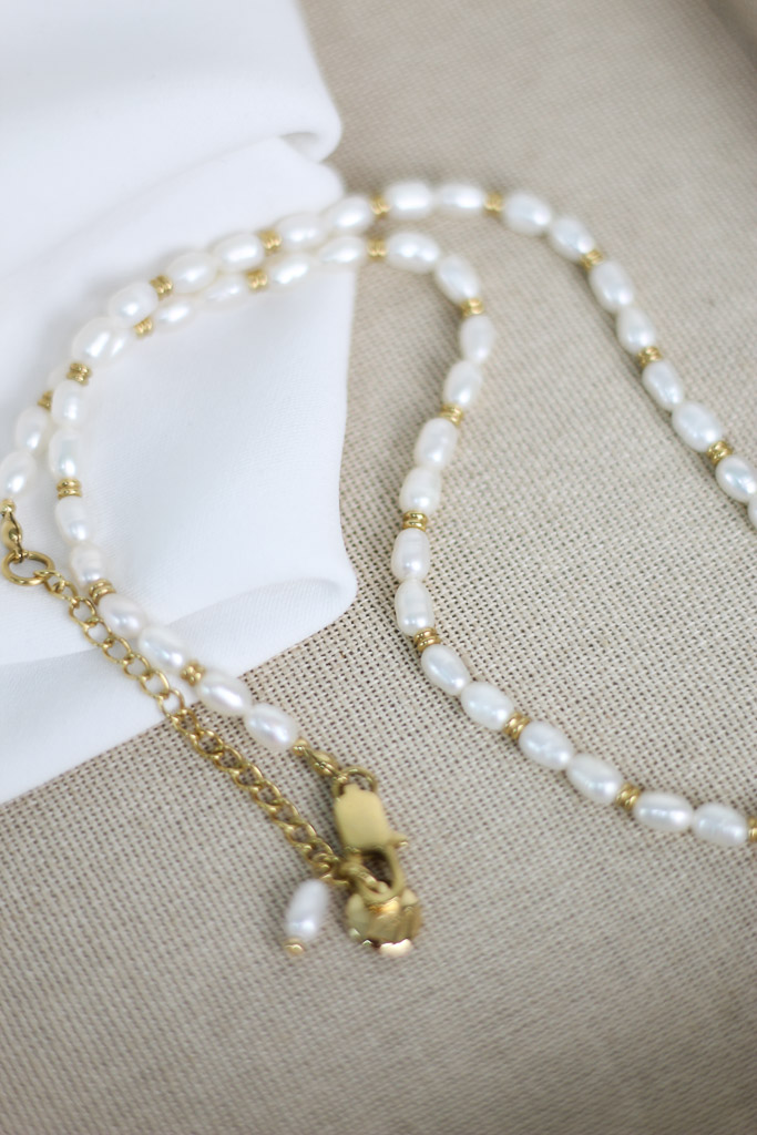 Ellie Vail Choker Necklace - 4