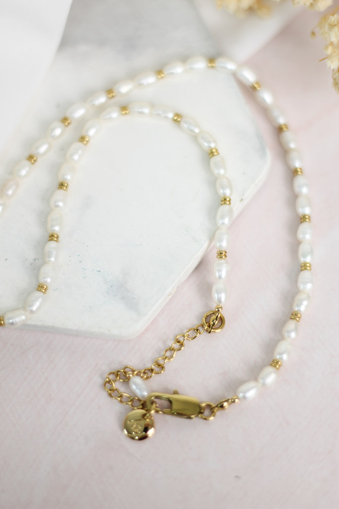 Ellie Vail Choker Necklace