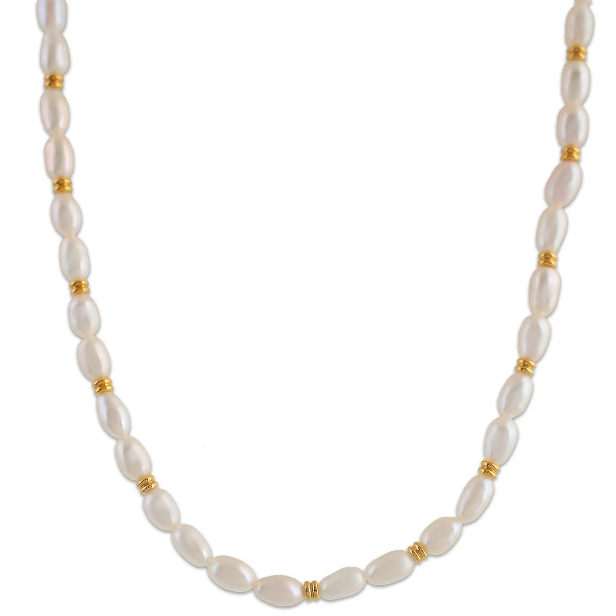 Ellie Vail Choker Necklace