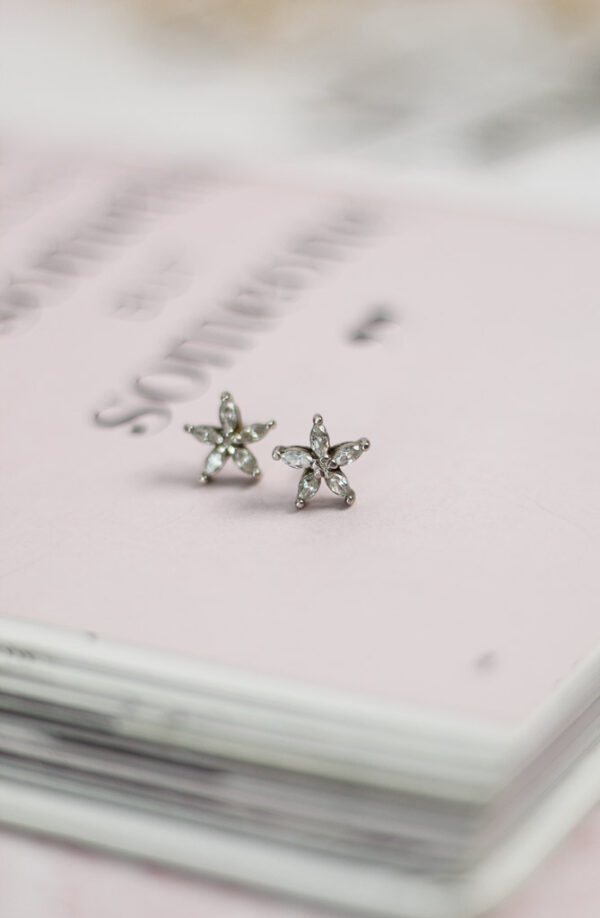 Aretes de plata