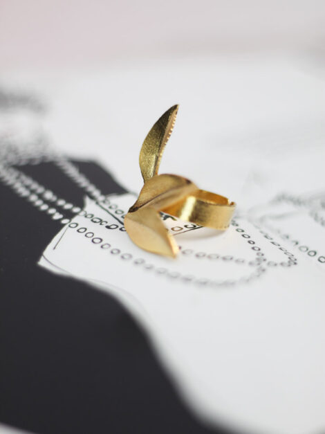 Anillo Maracuya - Imagen 4