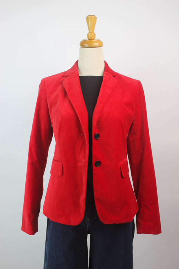 Ann Taylor velvet Jacket (talla 4P)