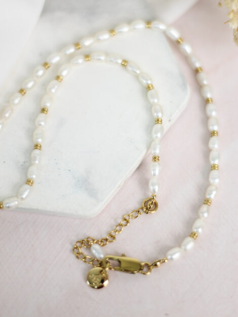 Ellie Vail Choker Necklace