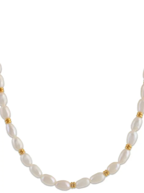Ellie Vail Choker Necklace - Imagen 6