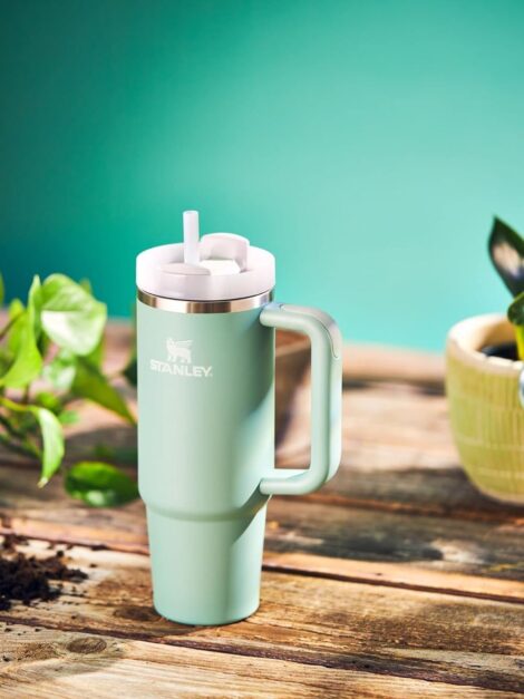 Stanley Quencher H2.0 Eucalyptus (40 Oz)