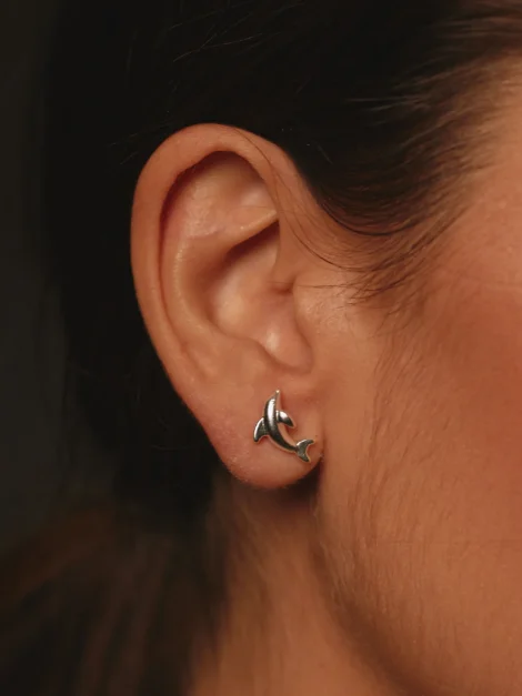Aretes Delfín Entrelazos